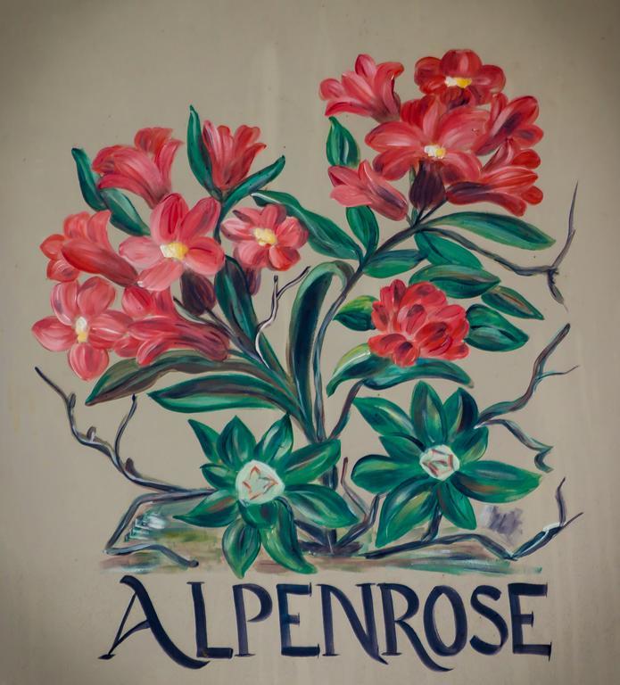 Hotel Alpenrose Wasserauen Zewnętrze zdjęcie